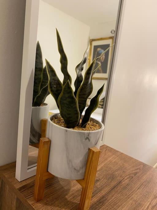 Stunning 2 Bed Apartment, In The Heart Of Exeter! Appartamento Exeter